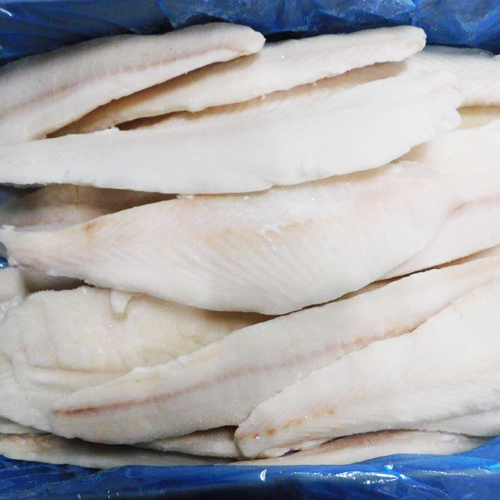 big Halibut fillets