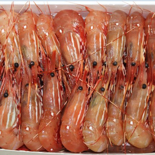 Canadian Spot Prawns