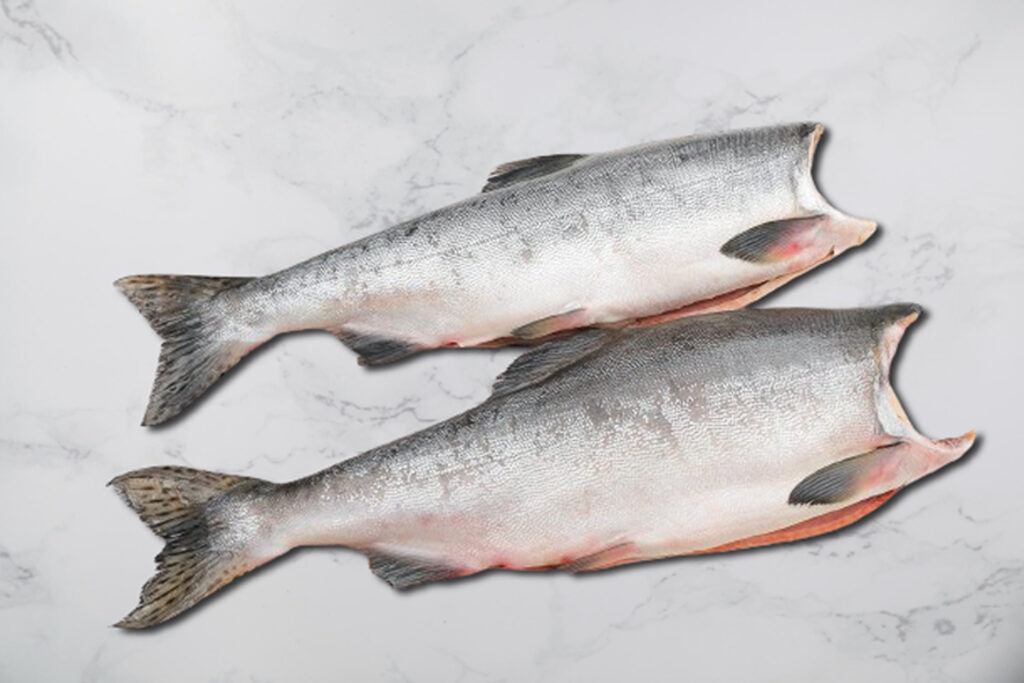 two Salmon no head