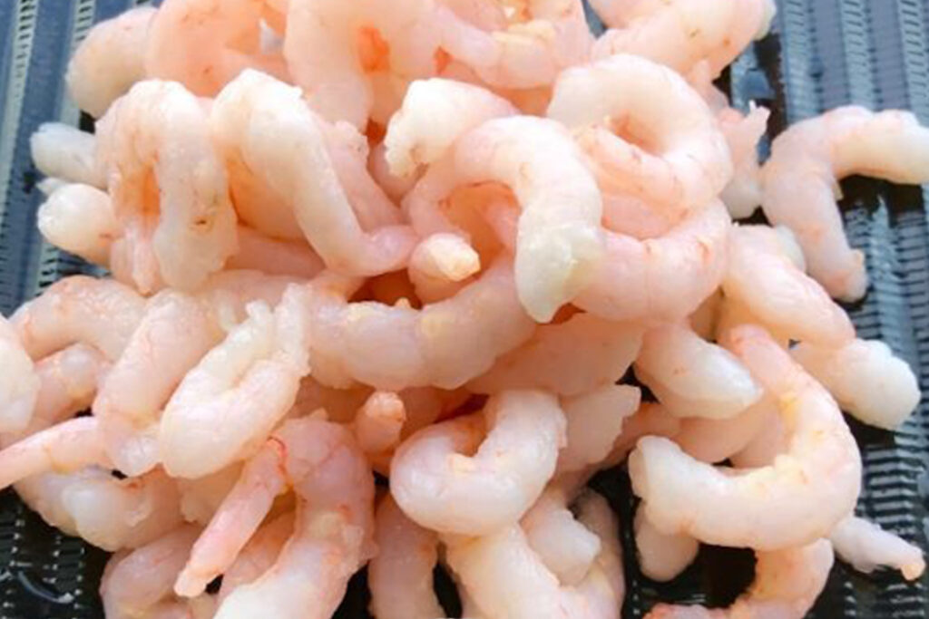 pile of Shrimp