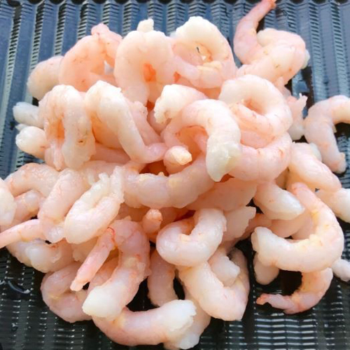 pink cold water shrimp